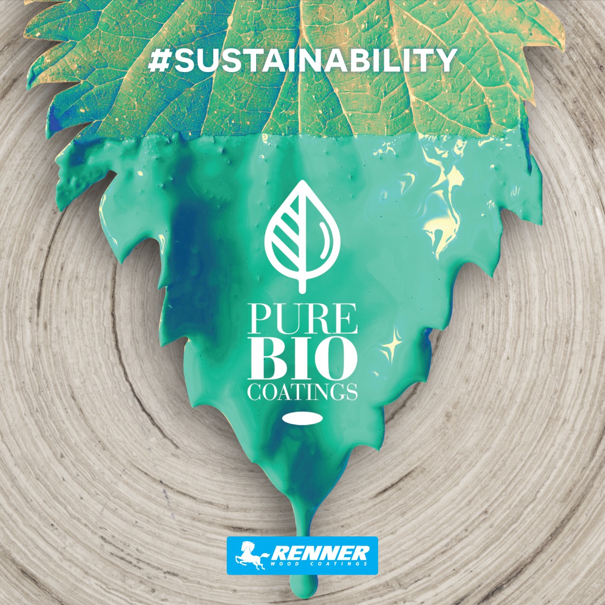 Gallery image with a fresh perspective